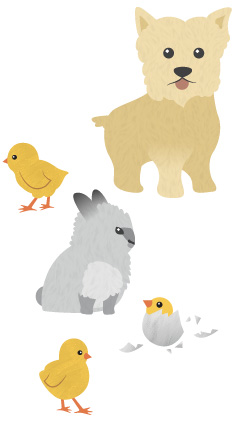 graphic of a dog, rabbit, and three baby chicks